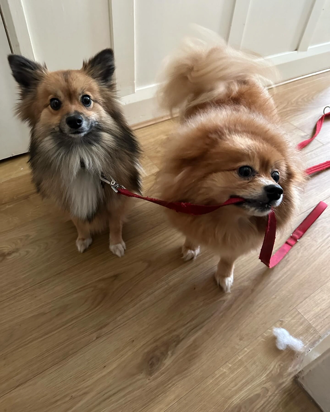 Content from User Gallery