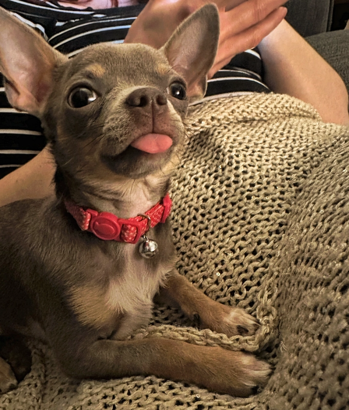 Content from User Gallery