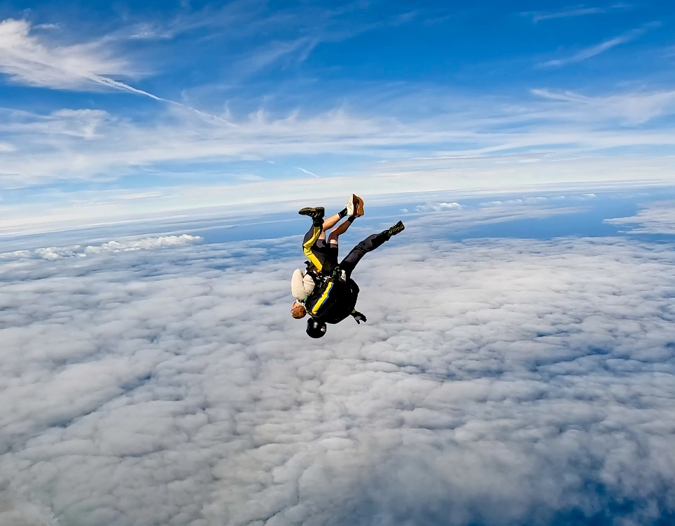 Content from User Gallery