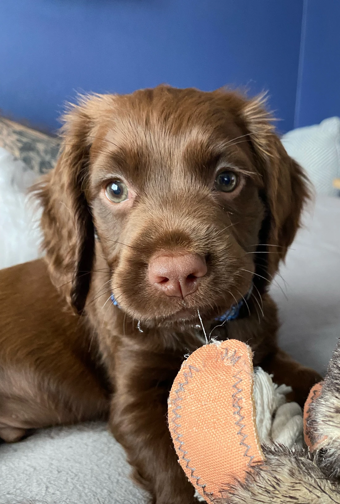 Content from User Gallery