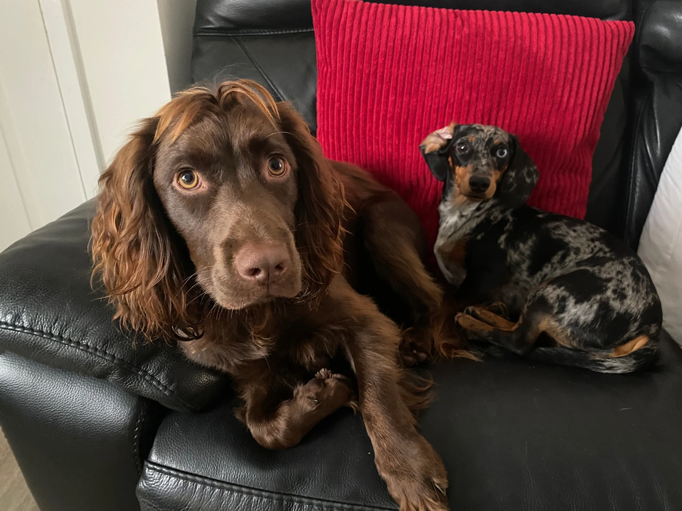 Content from User Gallery