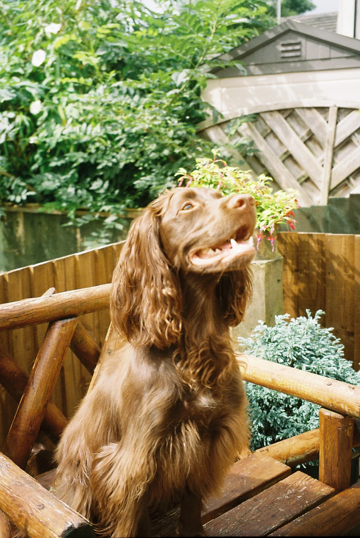 Content from User Gallery