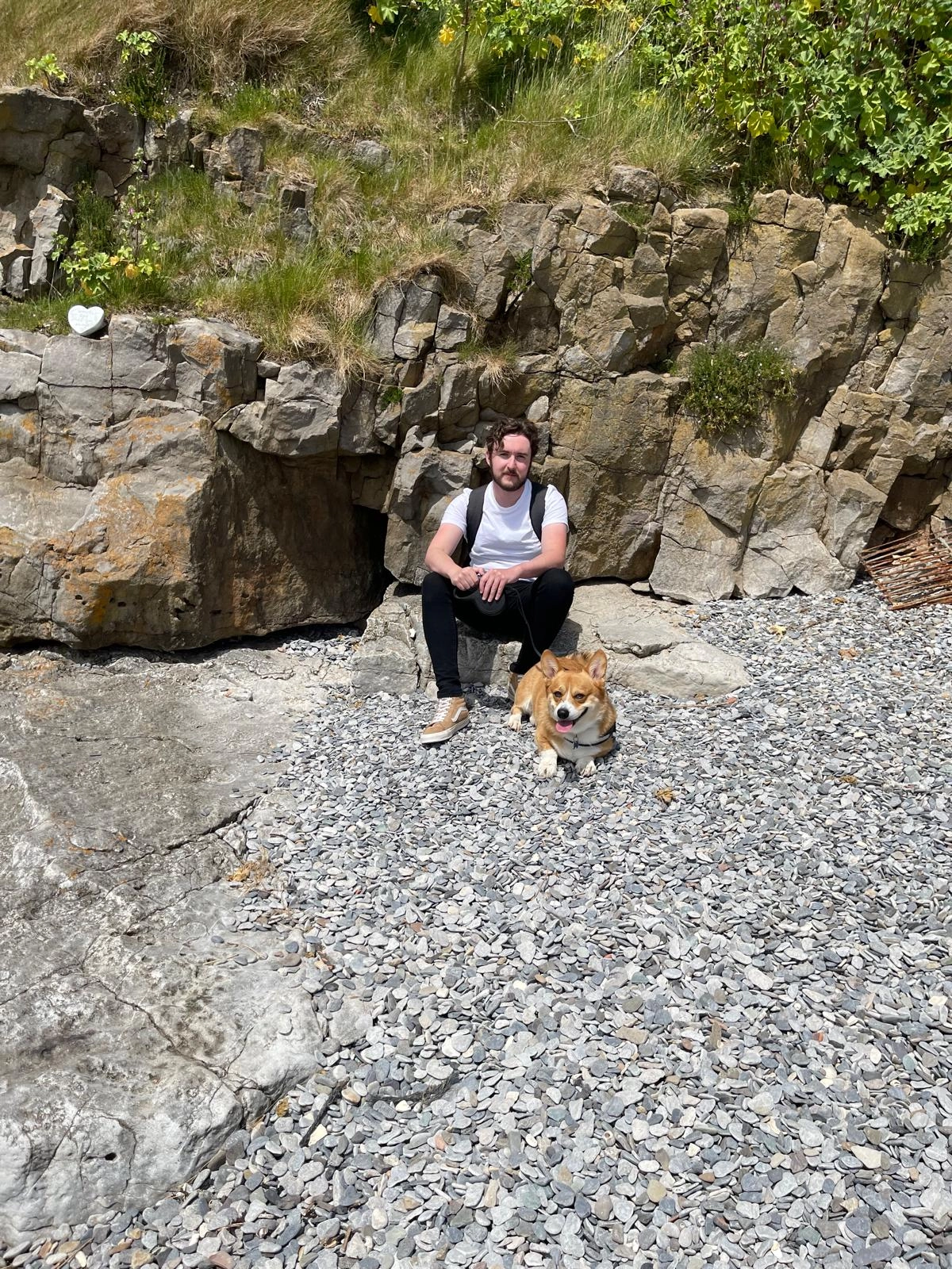 Content from User Gallery