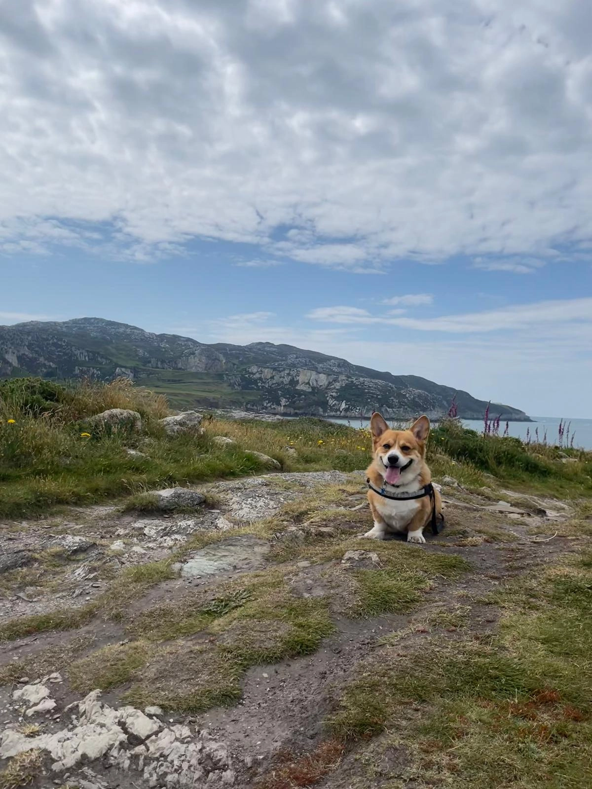 Content from User Gallery