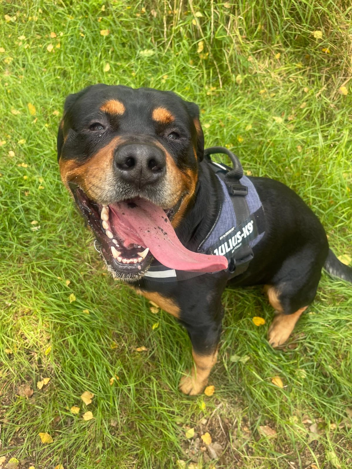 Content from User Gallery