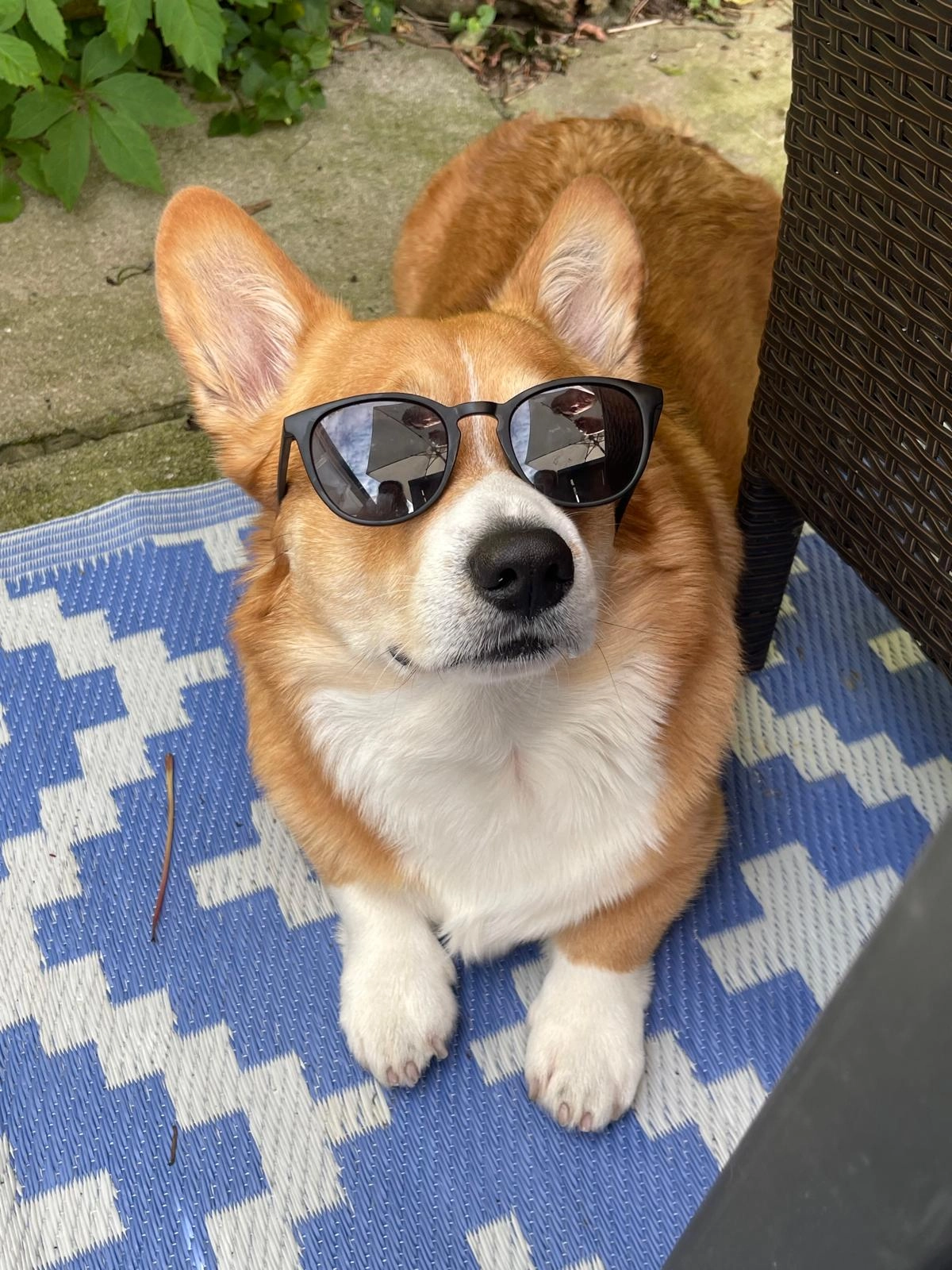 Content from User Gallery