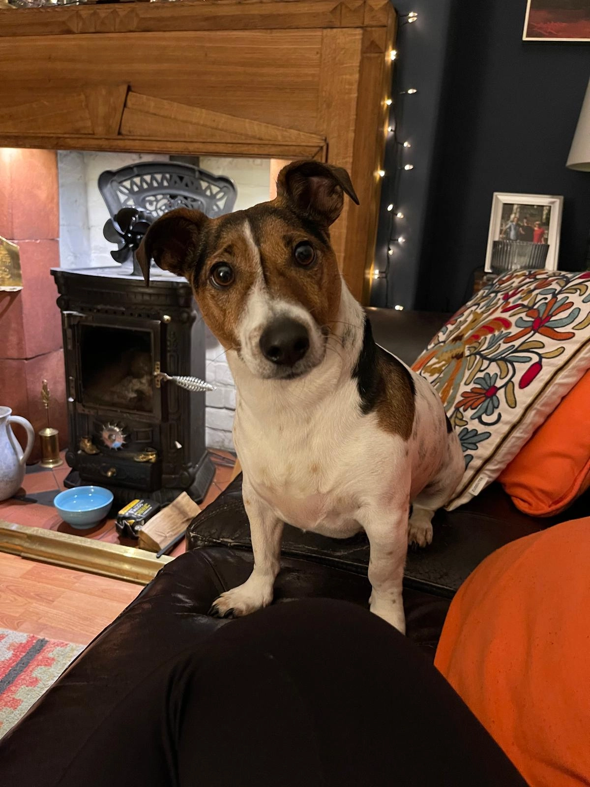 Content from User Gallery