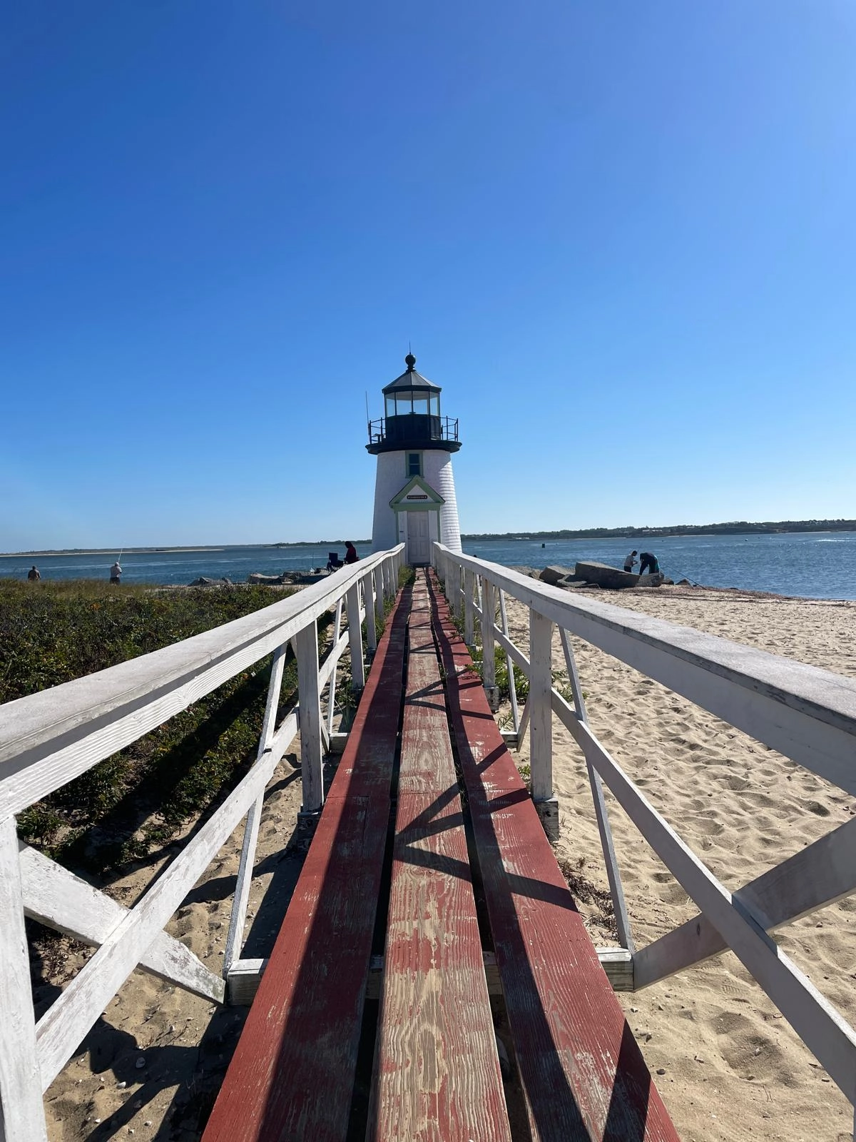 Content from User Gallery