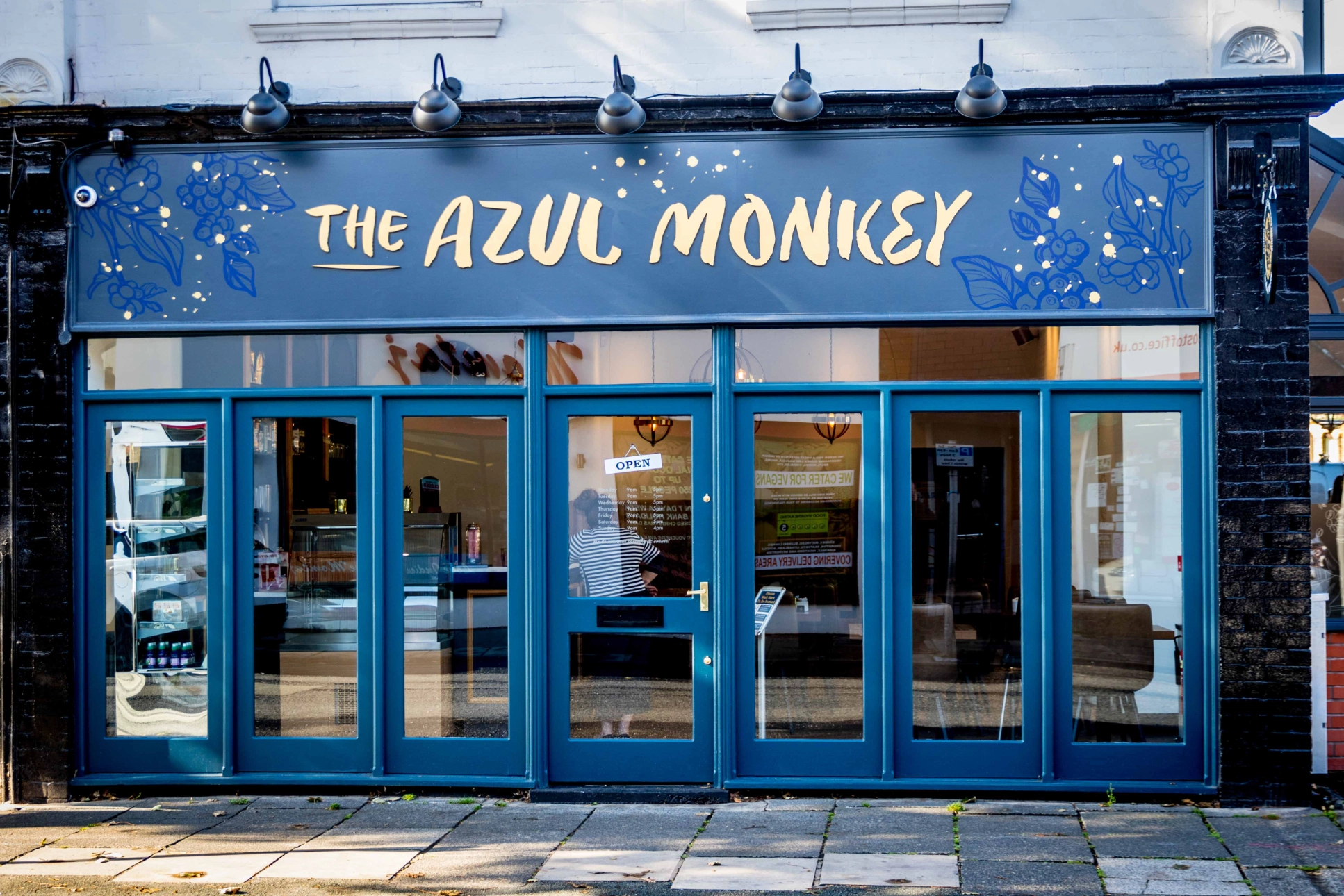 Azul Monkey