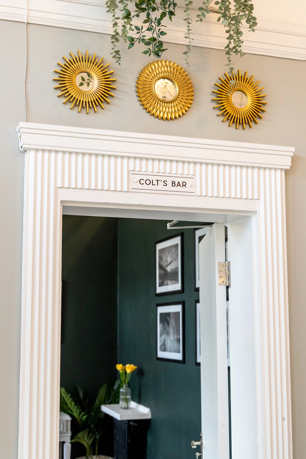 Content from User Gallery