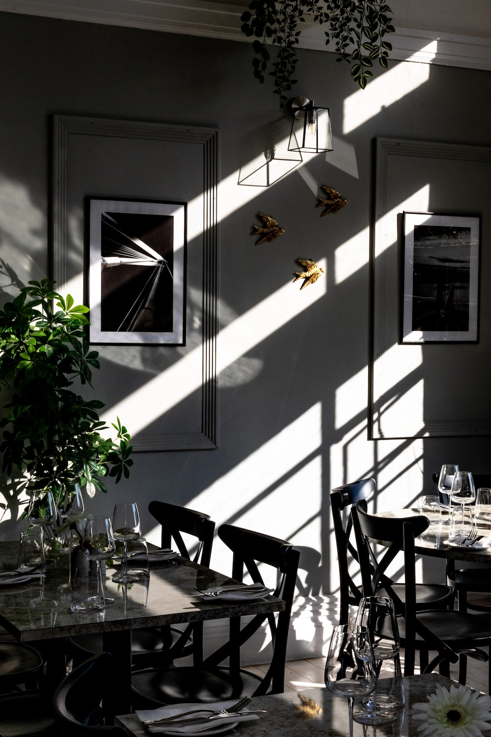 Content from User Gallery